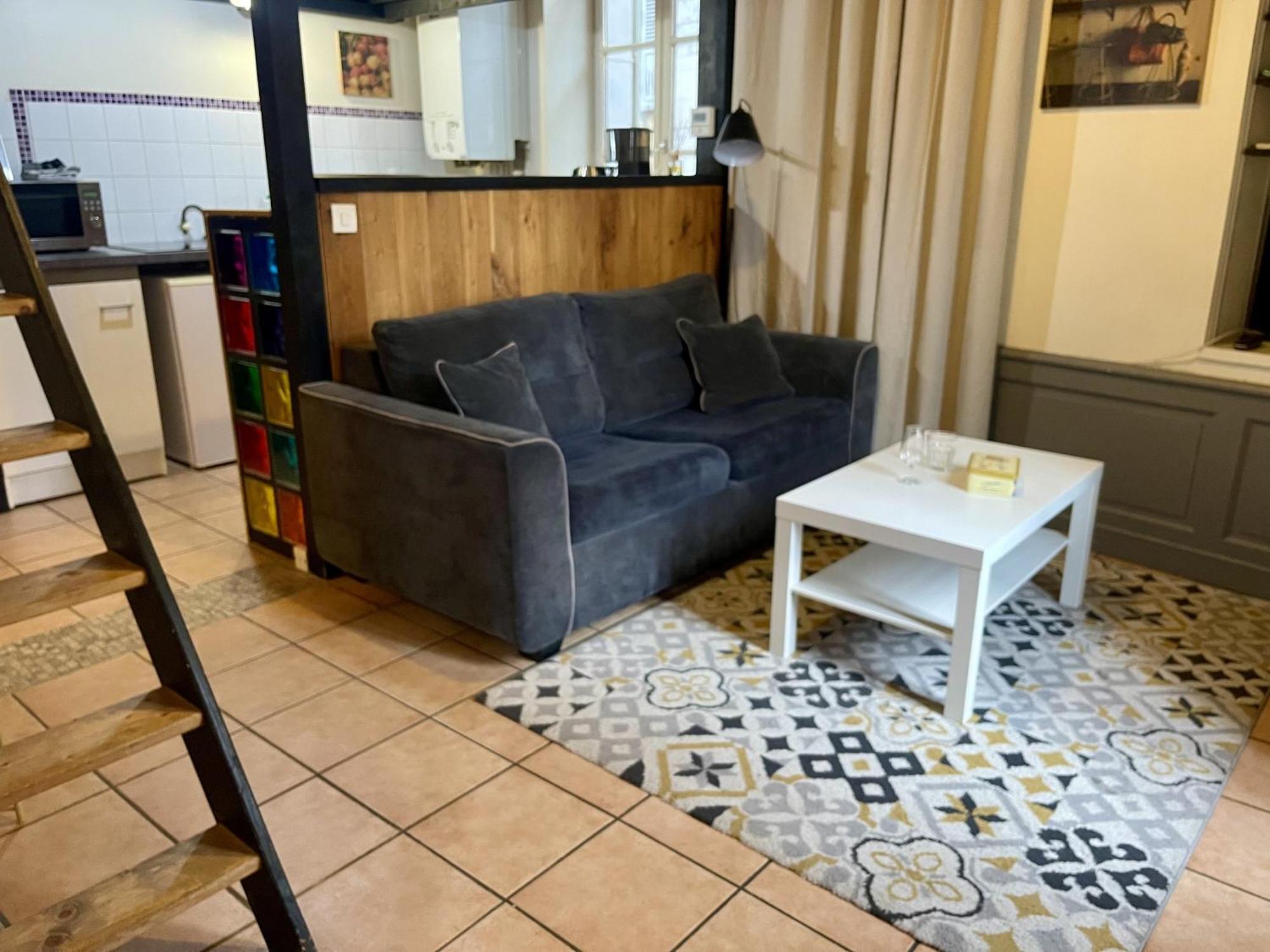 Appartement Le Cadet Roussel Auxerre Les Quais Esterno foto